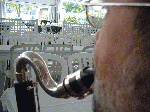 CANADA 2005 - 008.gif